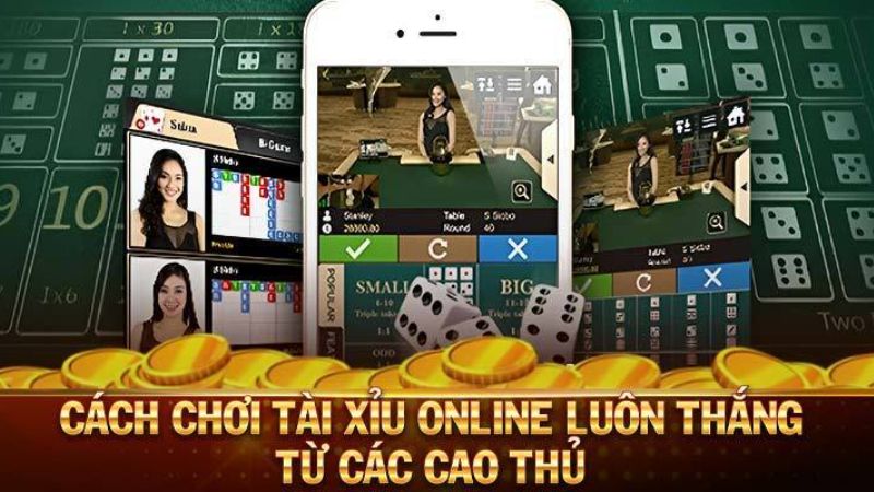 Cách chơi tài xỉu online luôn thắng - Hiểu luật chơi